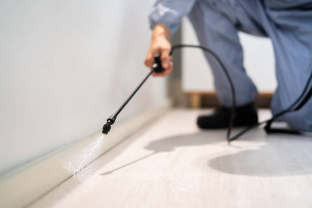 Licensed Pest Control service in Ashley, OH - Show Me Pest Control