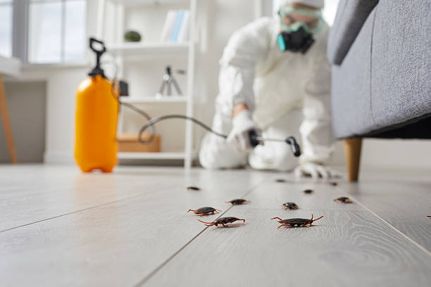 Post-Treatment Bed Bug Interceptor Monitoring in Ashley