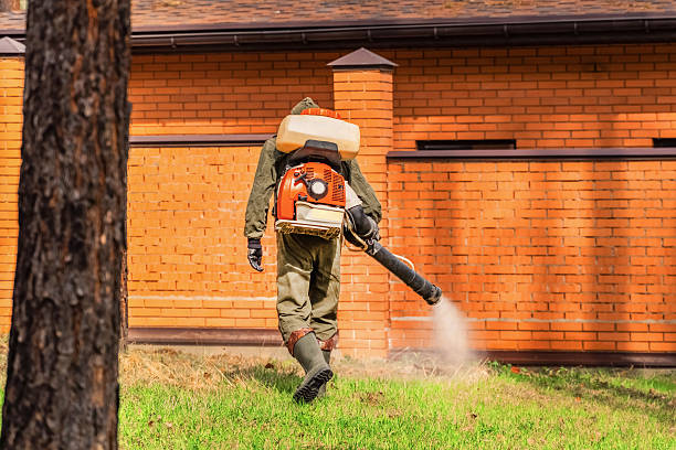 Bed Bug Clearance Verification and Documentation in Ashley